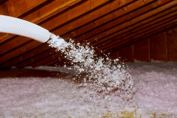 Best Attic Insulation Installation  in Brice Prairie, WI